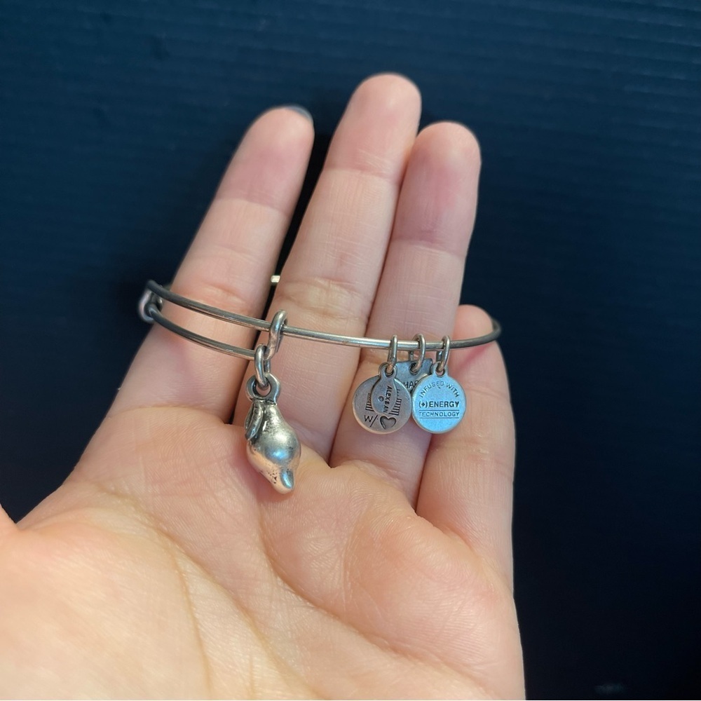 Sterling silver Alex and ani pear adjustable bracelet